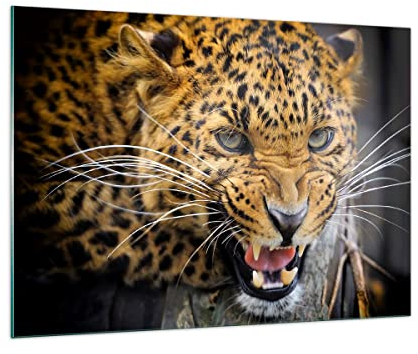 Bilder auf Glas 100x70cm Glasbild Leopard tier savanne afrika Groß Wanddeko Bild im Glas Schlafzimmer Küche Deko Wandbilder Dekoration Wohnzimmer Modern Wall Decor Wand Kunstdruck Art GAA100x70-2728