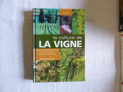 La culture de la vigne