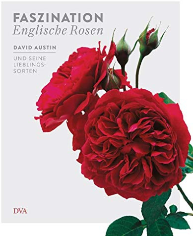 Faszination Englische Rosen: David Austin und seine Lieblingssorten