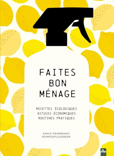 Faites bon ménage: Recettes écologiques, astuces économiques, routines pratiques