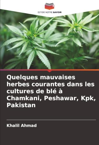 Quelques mauvaises herbes courantes dans les cultures de blé à Chamkani, Peshawar, Kpk, Pakistan