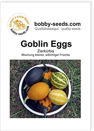 Goblin Eggs Zierkürbis von Bobby-Seeds, Portion