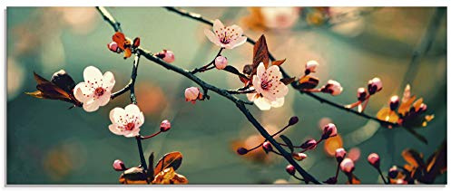 ARTLAND Glasbilder Wandbild Glas Bild einteilig 125x50 cm Querformat Natur Botanik Blumen Blüten Japan Kirschblüte Asien Zweig Frühling T5VP