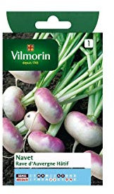 Vilmorin - Bustina Semi Rapa D Rave 'Auvergne Presto