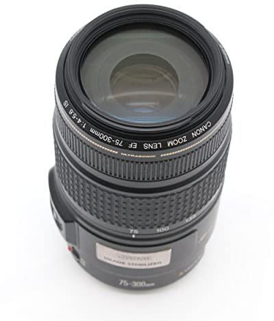 Canon Objectif à zoom 75 mm 300 mm f/4.0-5.6 IS USM télé Canon EF
