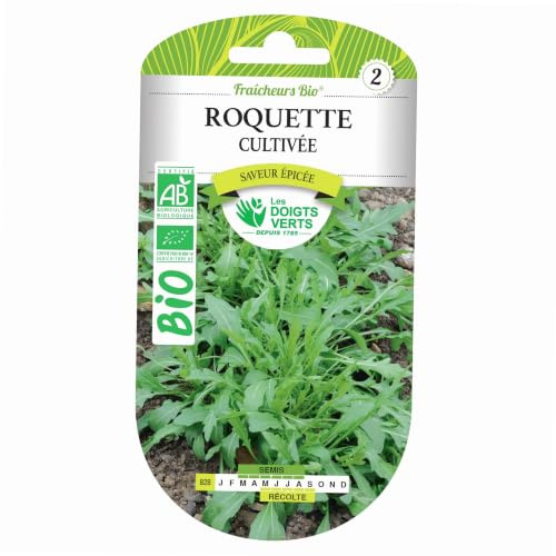 Roquette Cultivée Bio