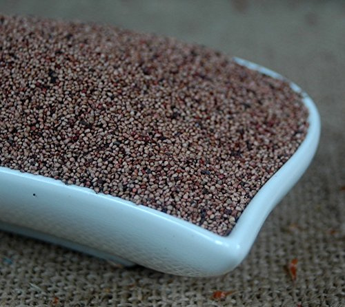 Naturix24 – Jordgubbsfrön hela – 100 g