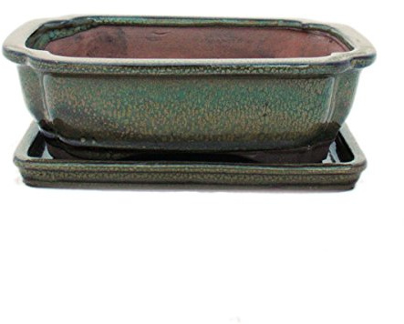 exotenherz – bonsai skål med fat storlek 3 – olivbrun – fyrkantig – modell G12 – L 18 cm – B 14 cm – H 5,5 cm