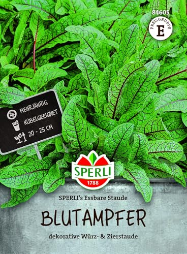Sperli Blutampfer SPERLI's Essbare Staude 84605, Kräutersaat | Mehrjähriges Küchenkraut mit blutroten Blattadern, Vitaminreich, Kräutersamen für Hochbeet & Freiland