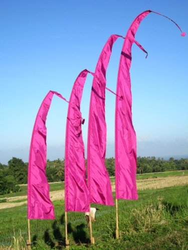 Asiastyle Bali-Fahne, aubergine (17) 3 Meter