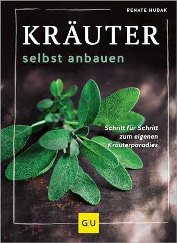 Kräuter selbst anbauen: Schritt für Schritt zum eigenen Kräuterparadies