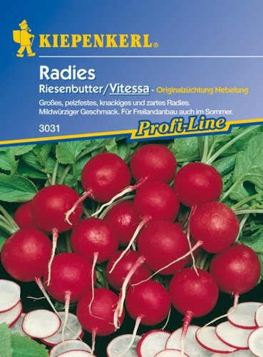 Kiepenkerl Radies 'Vitessa',1 Portion