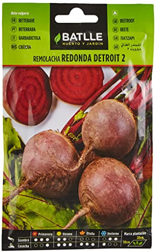 Semi Ortaggi di Batlle - Barbabietola Detroit 2 (500 Seeds)