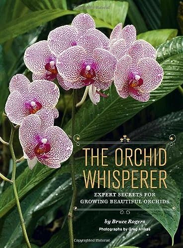 Orchid Whisperer: Expert Secrets for Growing Beautiful Orchids