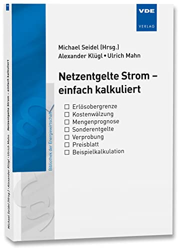 Netzentgelte Strom - einfach kalkuliert (Bibliothek der Energiewirtschaft)