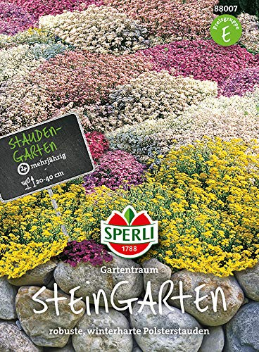 Steingarten Stauden, Mehrjährige Blumenmischung