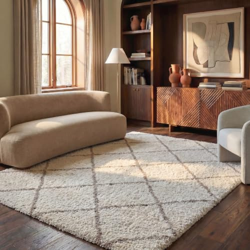SAFAVIEH Hudson Shag Rug 6x9, Plush Trellis Ivory & Beige SGH281D