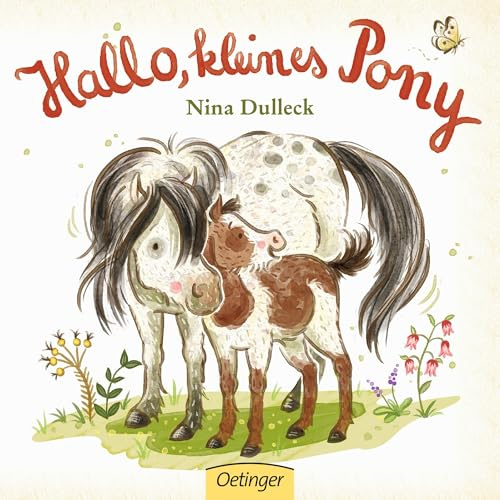 Hallo, kleines Pony: Liebevoll illustriertes Pappbilderbuch für kleine Pferdefans ab 2 Jahren