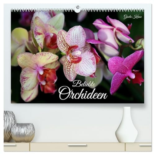 Beliebte Orchideen (hochwertiger Premium Wandkalender 2026 DIN A2 quer), Kunstdruck in Hochglanz: Kunterbunte Schmetterlings- und Frauenschuhorchideen (CALVENDO Natur)