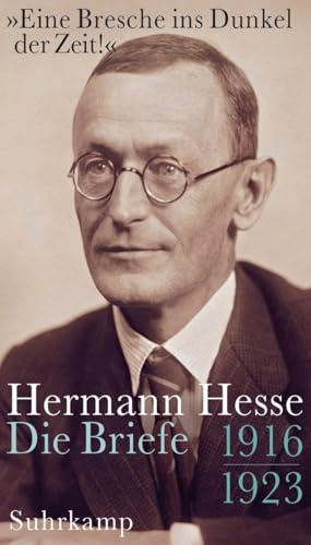 »Eine Bresche ins Dunkel der Zeit!«: Die Briefe 1916 - 1923