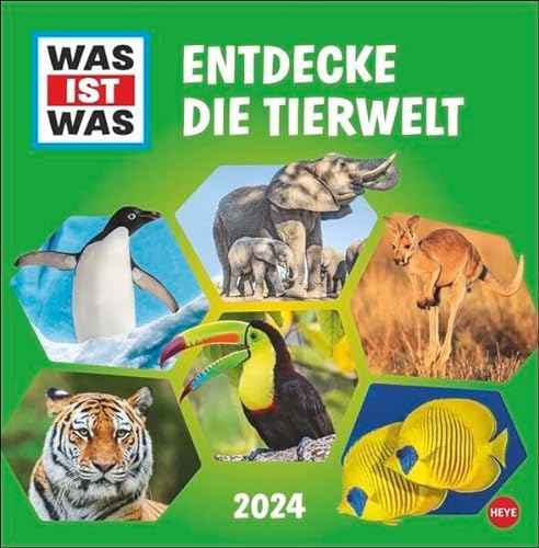 WAS ES QUÉ Descubre la vida silvestre Calendario 2024. Aprender nuevo cada mes con el calendario animal 2024! Calendario de pared para habitación infantil: conocimiento infantil sobre animales