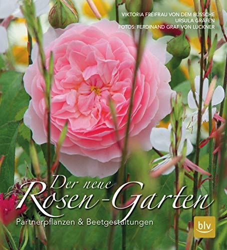 Der neue Rosen-Garten: Partnerpflanzen & Beetgestaltungen