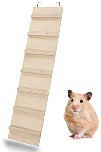 PETGARD Holz-Leiter WEGA 50 - Käfig-Erweiterung aus Holz - Käfig-Zubehör für Nager - Leiter aus Holz für Mäusekäfig - Stall-Zubehör 50 x 12 x 1 cm
