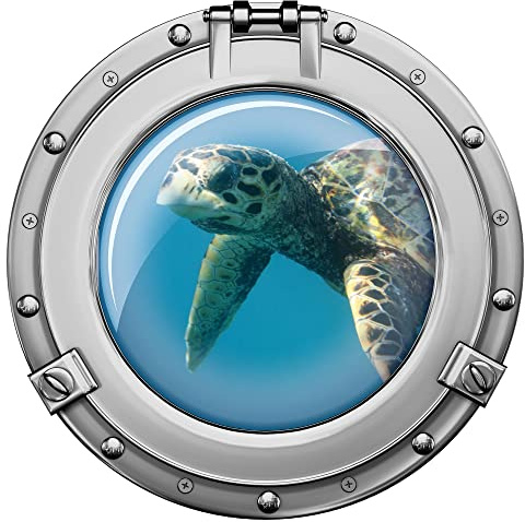 GRAZDesign Wandtattoo Bad Bullauge Schildkröte | Wandsticker Wandaufkleber Tür, Fliesenaufkleber Klebefolie Waschmaschine Fliesen | maritime Deko Meer - 30x30cm