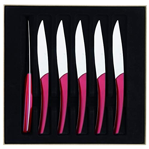 DEGRENNE Guy 205895 Coffret de 6 Couteaux à Steak Lame Scie