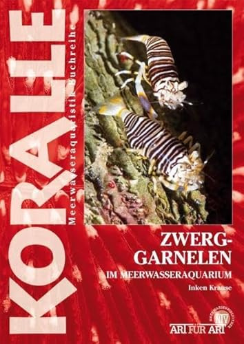 Zwerggarnelen im Meerwasseraquarium: Die Gattungen Gnathophyllum, Halocaridina und andere Arten (Buchreihe Art für Art Meerwasser)