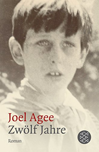 Zwölf Jahre: Eine amerikanische Jugend in Ostdeutschland (Literatur)