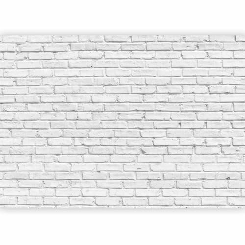 Fotomurales B&D XXL - 300x210 cm XXL Papel pintado tejido no tejido Decoración de Pared decorativos Murales moderna Diseno Fotográfico Ladrillo f-B-0011-a-b