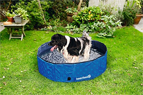 Beeztees Doggy Dip, Hundepool, blau, 160x160x30 cm