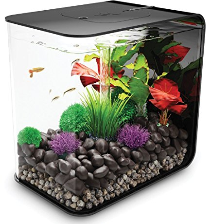 biOrb 72033 FLOW 30 LED in schwarz – elegantes Design-Aquarium Komplett-Set mit Filter-System, LED-Beleuchtung, Boden-Kies und Luftausströmer aus widerstandsfähigem Acryl-Glas