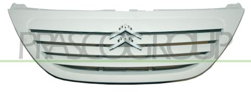 Prasco CI3202001 - Griglia Radiatore