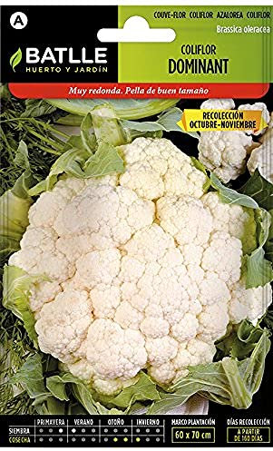 Batlle Vegetable Seeds - Cauliflower Dominant Blanquita (3g)