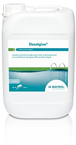 Bayrol - Entretien Piscine - Desalgine bidon 6L - Anti-algues Piscine Eau Claire