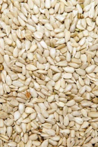 Versele Sonnenblumenkerne geschält 25 kg