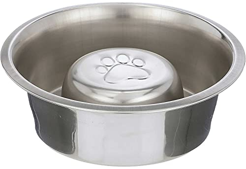 Neater Pet Brands Slow Feed Bowl Stainless Steel - Standard Bowls Fit Elevated Feeders (3 Cups, Stainless Steel)