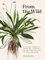 From the Wild: An essential companion to identifying, cooking and enjoying common wild plants for health and healing