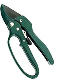 SVETTATOIO CRICCO 210 ILCAMPO 03496 [IL CAMPO ]