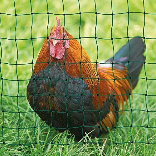 Geflügelnetz 50 mtr., 112 cm Einzelspitz, grün, ohne Strom
