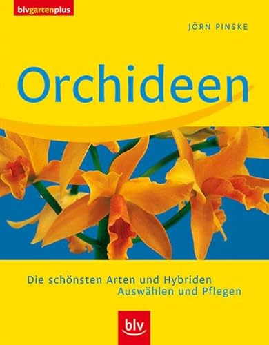 Orchideen: Die schönsten Arten und Hybriden. Auswählen und Pflegen (blv garten plus)
