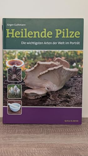 Heilende Pilze: Die wichtigsten Arten der Welt im Porträt