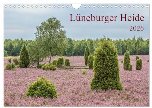 Lüneburger Heide (Wandkalender 2026 DIN A4 quer), CALVENDO Monatskalender: 12 wunderschöne Bilder aus einer alten Kulturlandschaft (CALVENDO Natur)