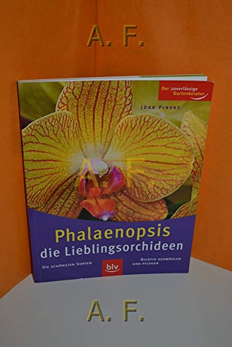 Phalaenopsis: Die schönsten Sorten der Falterorchidee. Richtig auswählen und pflegen