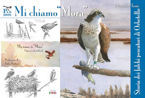 Mi chiamo «Mora». Storia dei falchi pescatori di Orbetello