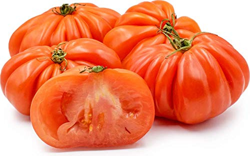 RWS 100 graines de tomate Coeur de Boeuf tomate beefsteak