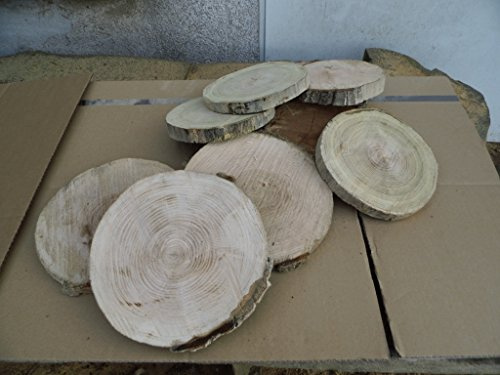 10 Baumscheiben, Holzscheiben,Baumscheibe, ca. 18-20 cm, Astscheiben