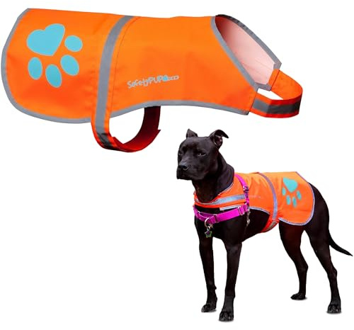 SafetyPUP XD Reflective Dog Vest. Hi-Visibility, Fluorescent Blaze Orange Dog Vest Helps Protect Your Best Friend. Safeguard Your PUP from Motorists & Hunting Accidents, On or Off Leash (X-Large)